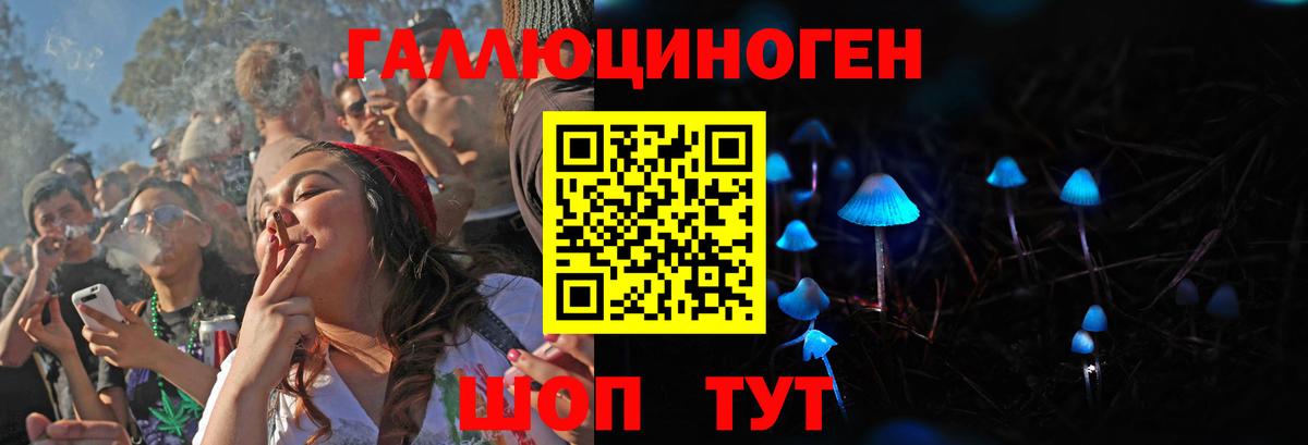 Галлюциногенные грибы Magic Shrooms  Вход с VPN  Псилоцибиновые грибы Magic Shrooms  Балашиха 